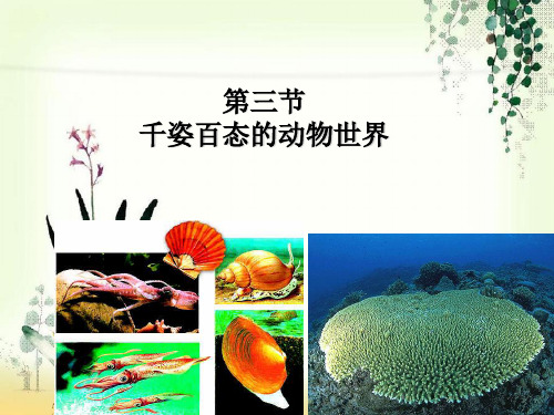 【一线精品】 千姿百态的动物世界4 最新优秀公开PPT课件
