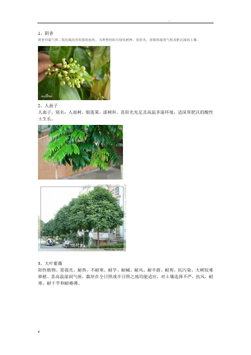 广东常见园林植物1