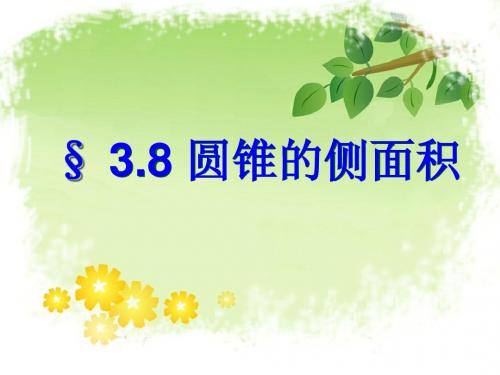 3.8圆锥的侧面积上课课件
