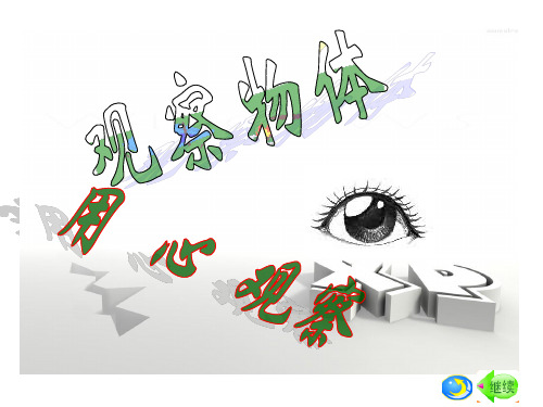 五年级观察物体课件.ppt