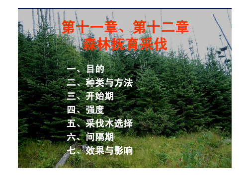 《森林培育学》第11、12章 森林抚育采伐