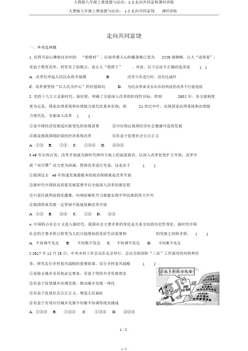 人教版九年级上册道德与法治：1.2走向共同富裕课时训练