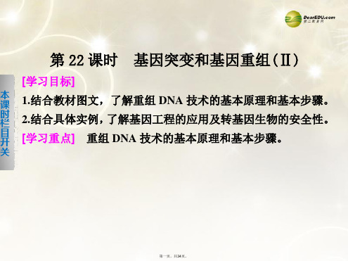 高中生物 4.4 基因突变和基因重组课件2 苏教版必修2