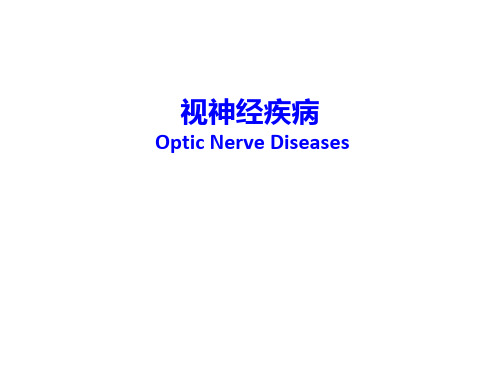 眼科学课件：视神经及视路疾病