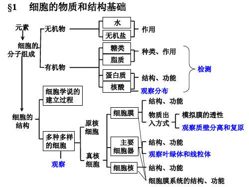 2010级会考复习——生物必修一提纲