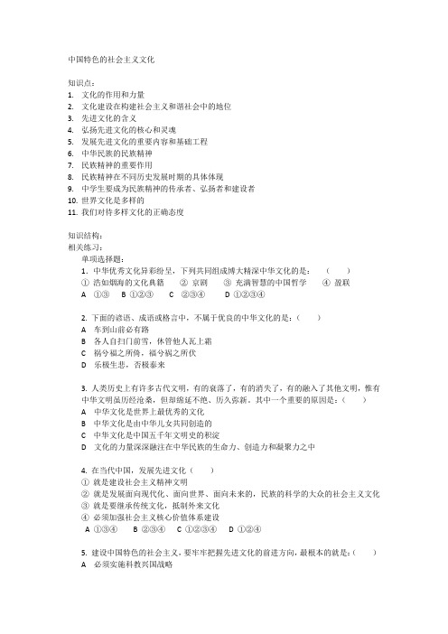 中国特色的社会主义文化