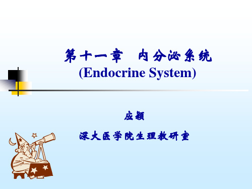 内分泌系统