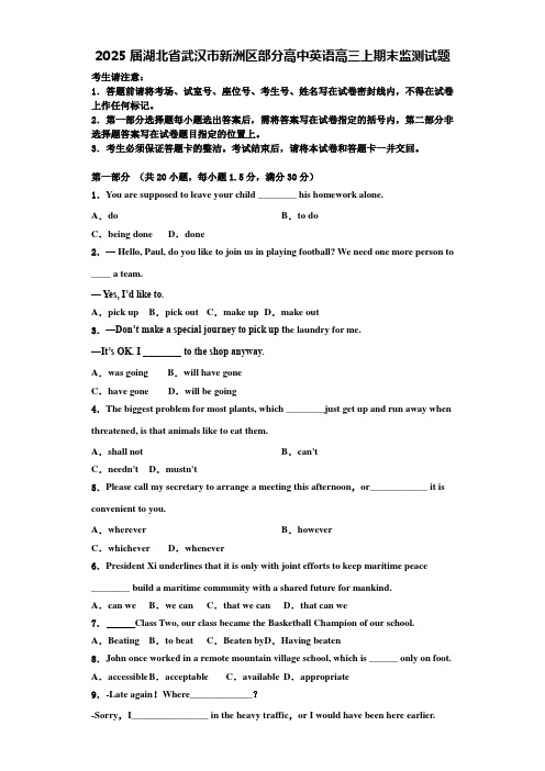 2025届湖北省武汉市新洲区部分高中英语高三上期末监测试题含解析