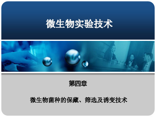 微生物菌种的筛选、诱变与保存技术 39页PPT文档