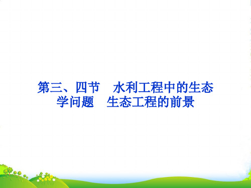 高中生物 第五章第三、四节水利工程中的生态学问题 生态工程的前景课件 浙科选修3