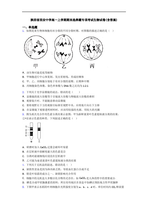 陕西省西安中学高一上学期期末选择题专项考试生物试卷(含答案)