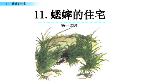 最新部编人教版语文四年级上册《蟋蟀的住宅》教学课件