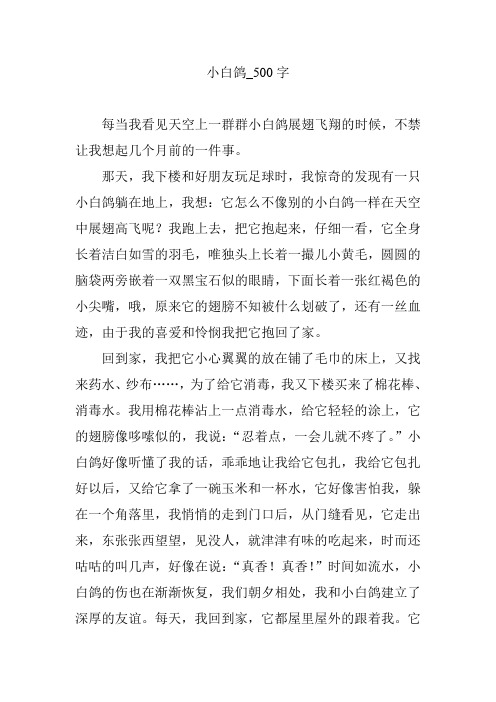 小白鸽_500字