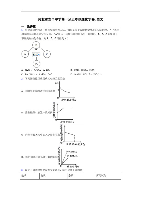 河北省安平中学高一分班考试题化学卷_图文