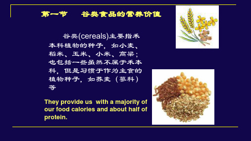 谷类食品的营养价值