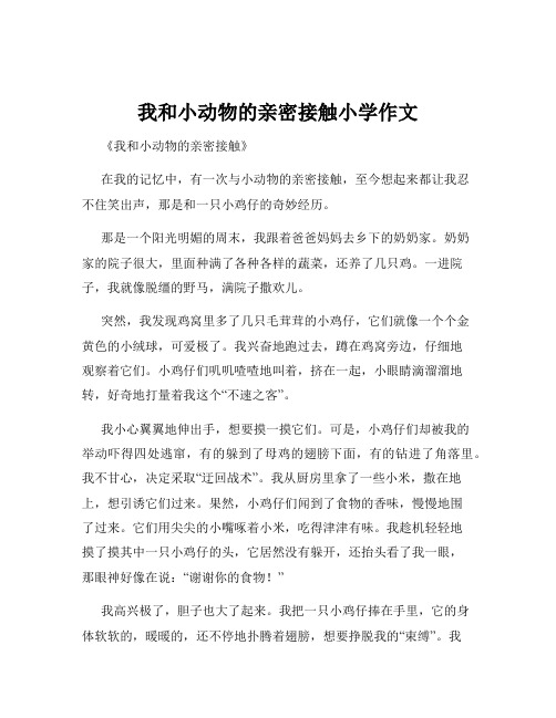 我和小动物的亲密接触小学作文