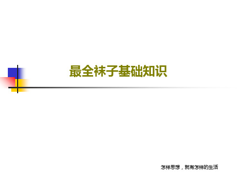 最全袜子基础知识共33页文档