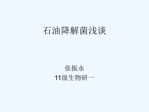 石油降解菌.ppt