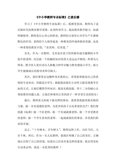 中学教师专业标准读后感