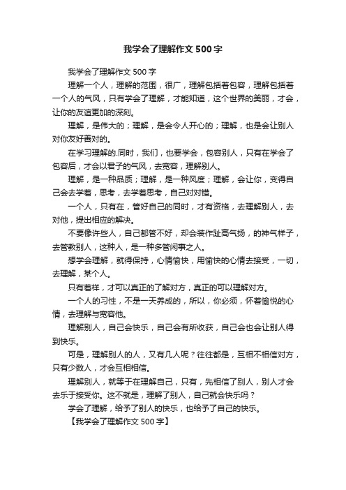 我学会了理解作文500字