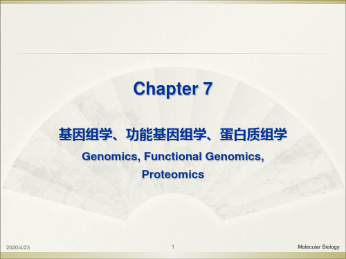 基因组学、功能基因组学、蛋白质组学