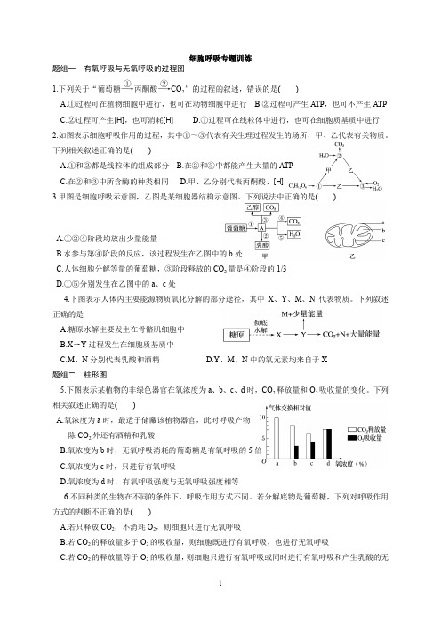 细胞呼吸训练题