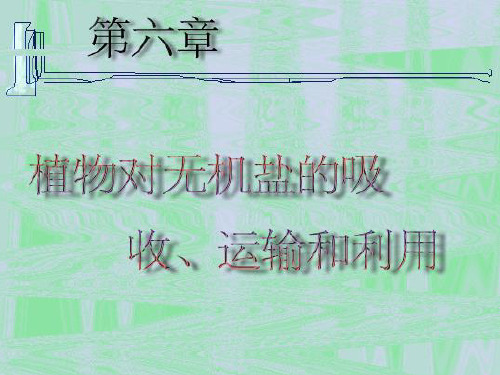 八年级科学上册 第六章 植物的新陈代谢 3