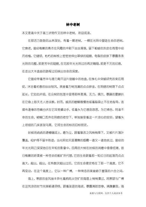 高三状物作文：林中老树