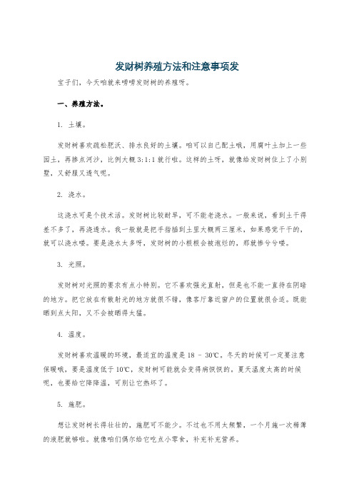 发财树养殖方法和注意事项发