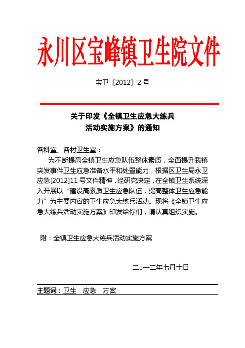 宝峰镇卫生院卫生应急大练兵比武活动实施方案