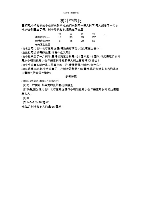 课课练新苏教版六年级数学上册全册第三单元分数除法3.10树叶中的比