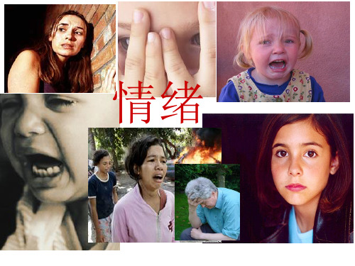 情绪的脑机制