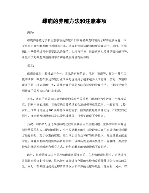 雌鹿的养殖方法和注意事项