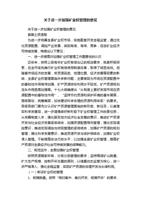 关于进一步加强矿业权管理的意见