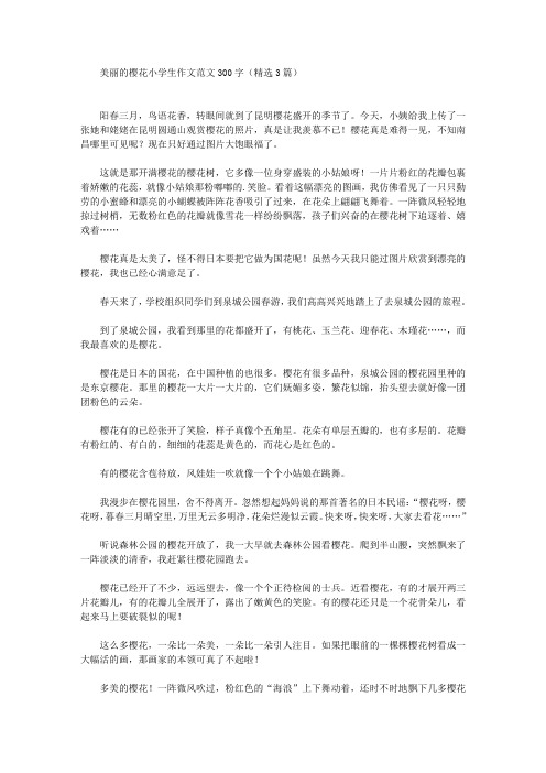 美丽的樱花小学生作文范文300字(精选3篇)(最新)