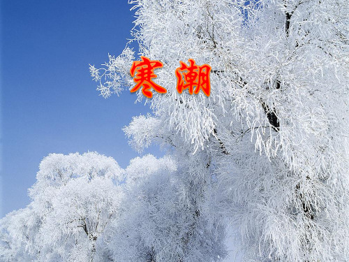 地理-寒潮 初中二年级地理研究课题 寒潮