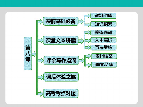 高中语文人教版选修中外传记作品选读课件：第八课 杨振宁：合璧中西科学文化的骄子