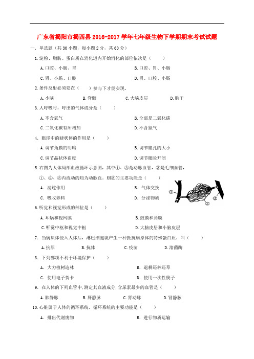 广东省揭阳市揭西县七年级生物下学期期末考试试题