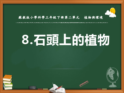 苏教版三年级科学课件-石头上的植物