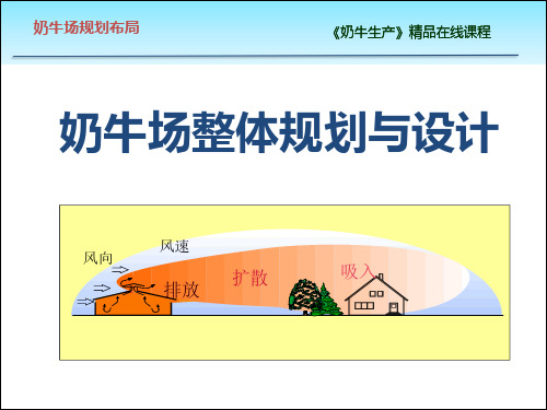 牧场整体规划与布局