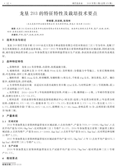 龙垦203的特征特性及栽培技术要点