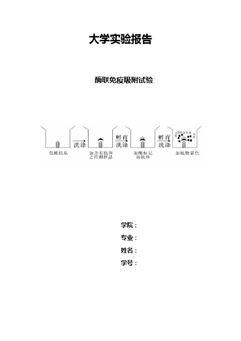 ELISA酶联免疫吸附试验报告