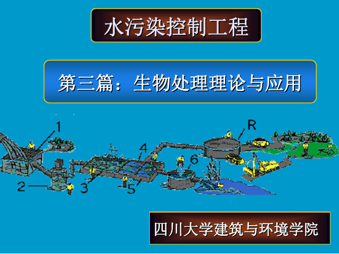 5 活性污泥法的理论基础-3