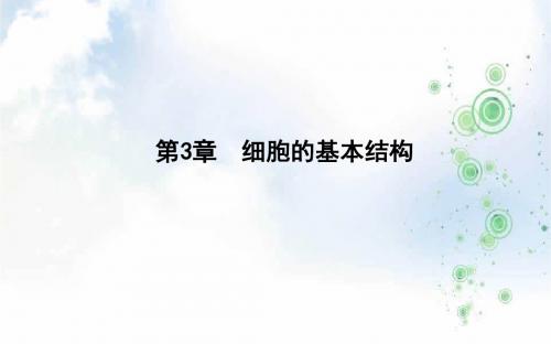 2019学年高中生物人教版必修一课件：第3章 细胞的基本结构 第1节 细胞膜—系统的边界