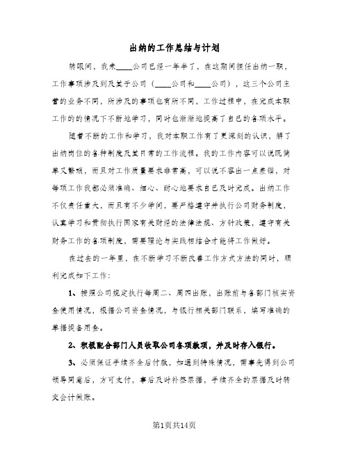 2023年出纳的工作总结与计划(5篇)