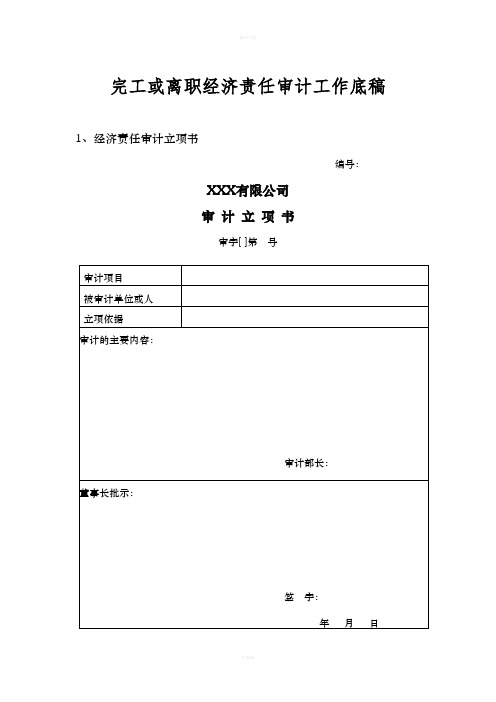 经济责任审计工作底稿标准格式