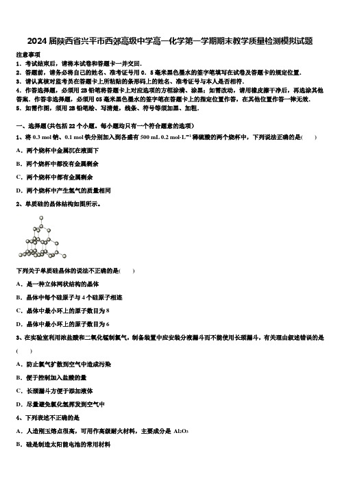 2024届陕西省兴平市西郊高级中学高一化学第一学期期末教学质量检测模拟试题含解析