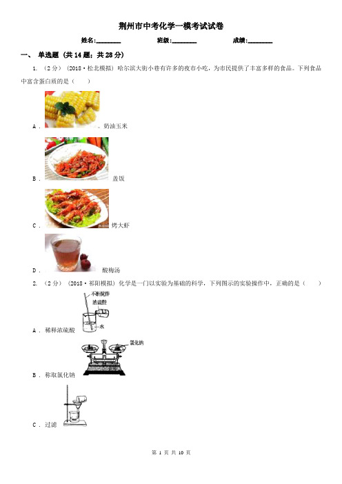 荆州市中考化学一模考试试卷