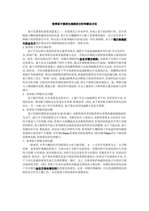 春季茄子栽培生理病状分析和解决方法