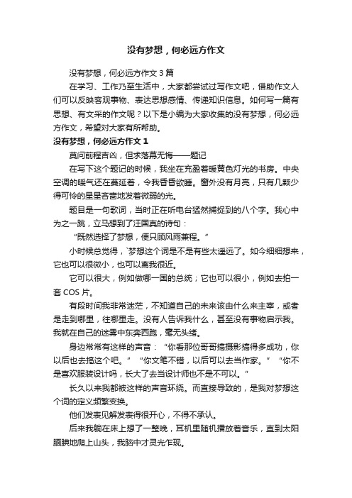 没有梦想，何必远方作文3篇